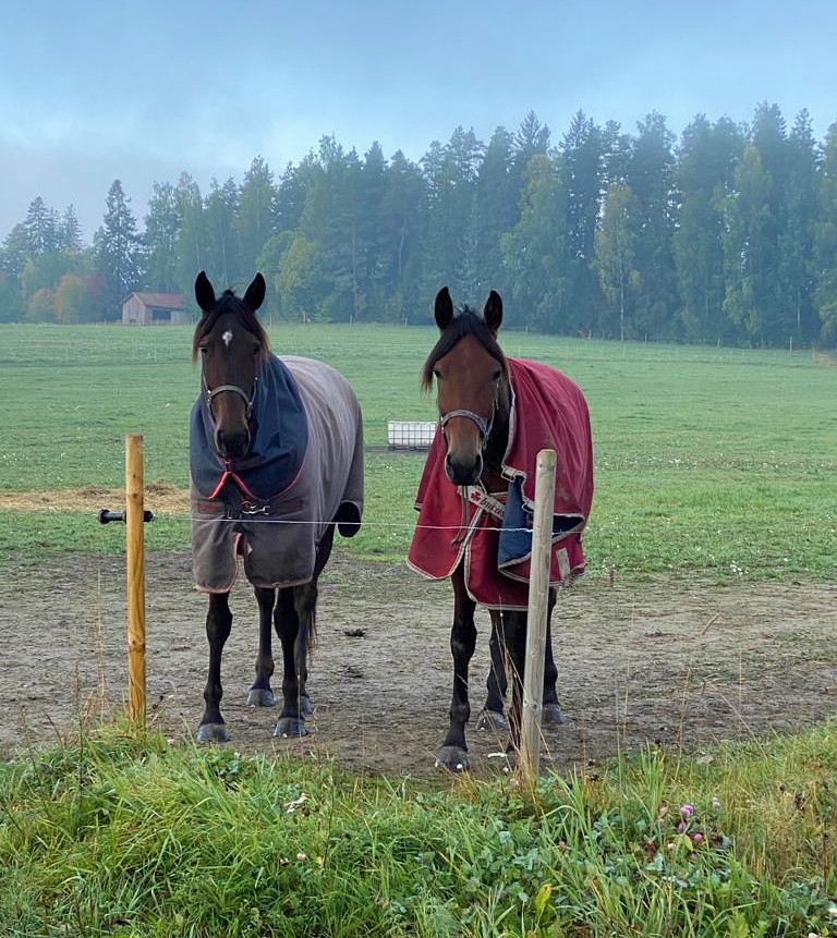 Finland - Callela X-File